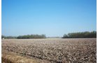 Property photo 15 - 641 Acres Offered in 16 Tracts - 545 Cropland Acres